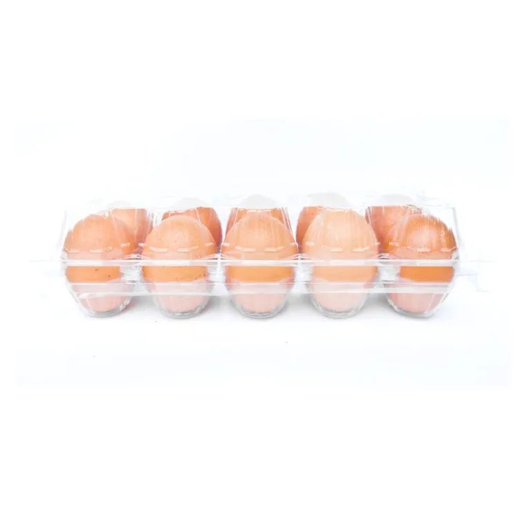 100 X Clear Duck Egg Cartons For 10 Large Eggs