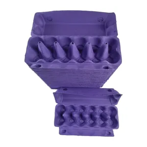 150 X Dark Purple Full Dozen Carton 12-Egg Recyclable Egg Cartons