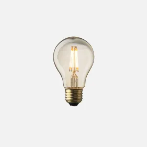 A19 Filament LED Bulb