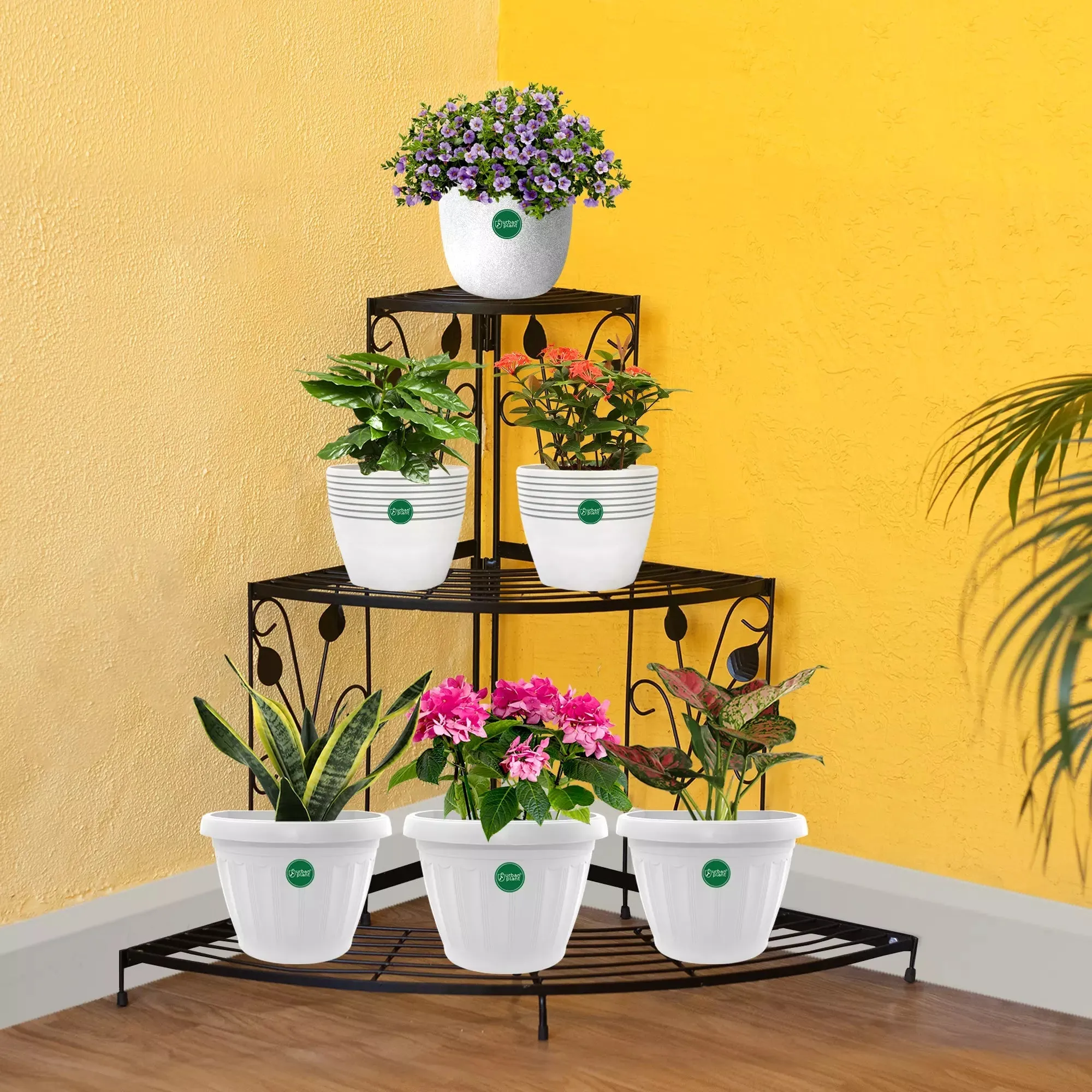 Urban plant 3 Tier Corner Metal Stand for Compact Spaces